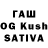 Псилоцибиновые грибы Cubensis _KuH_D3A_D3A_