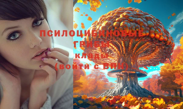 прущие крисы Елабуга