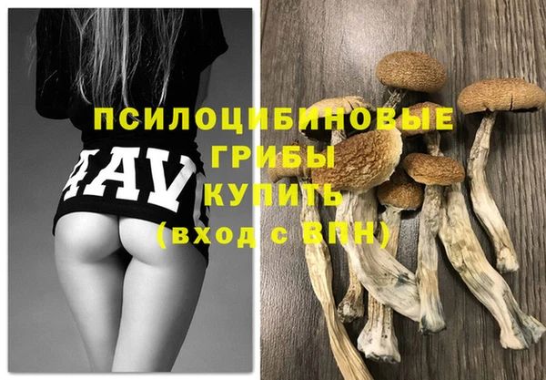 тгк Лиски