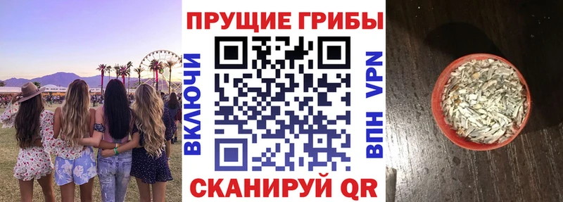 Псилоцибиновые грибы мицелий  где купить наркоту  даркнет какой сайт  Кукмор 